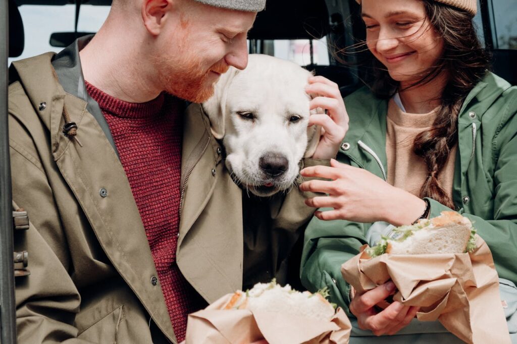 dog with chicken