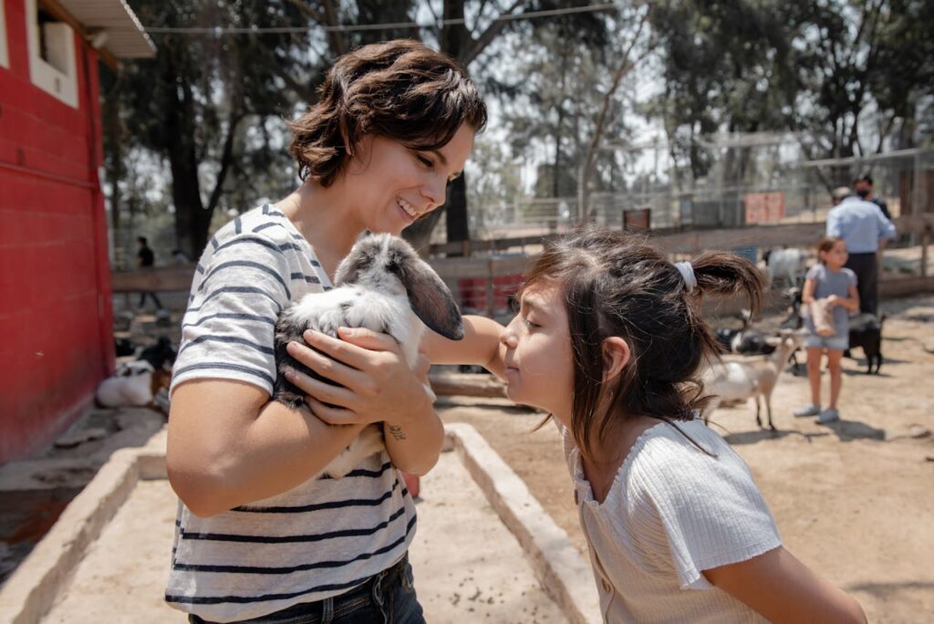 A girl petting rabbit