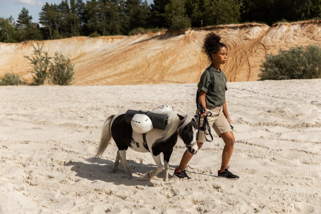 Miniature horse walking with a girl