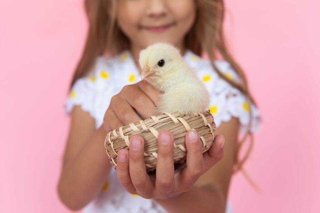 Reasons Why Owning Pet Chickens Is More Fun Than You Think