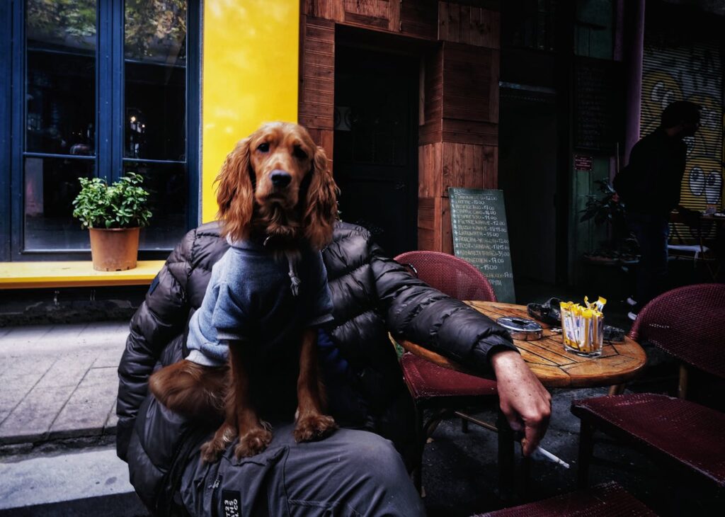 dog with Cigarette Smoke