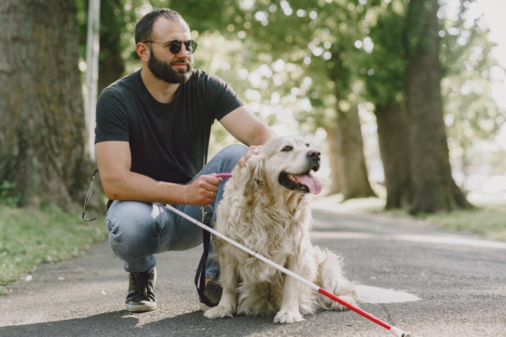 service dog with a blind man