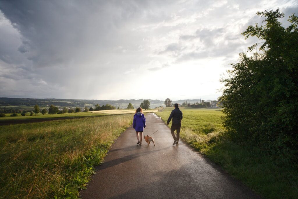 Why It Is Important to Walk Your Dog Every Day