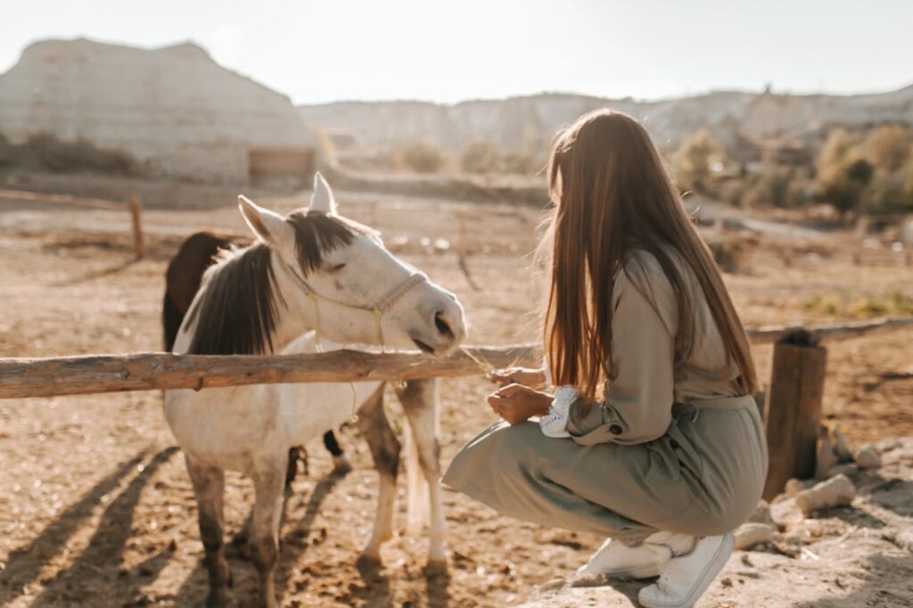 feeding young horse