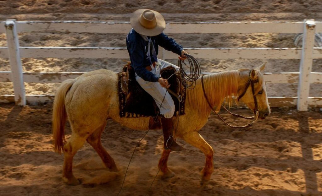 Brazilian Cowboy Riding Horse in Arena