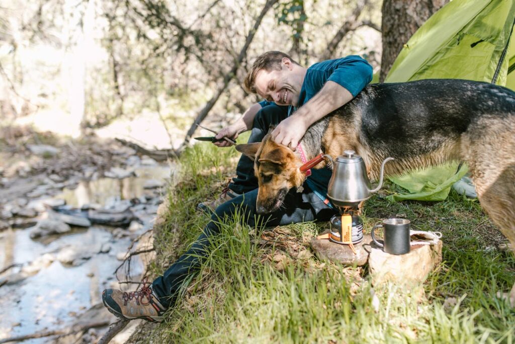german shepherd cuddling a person