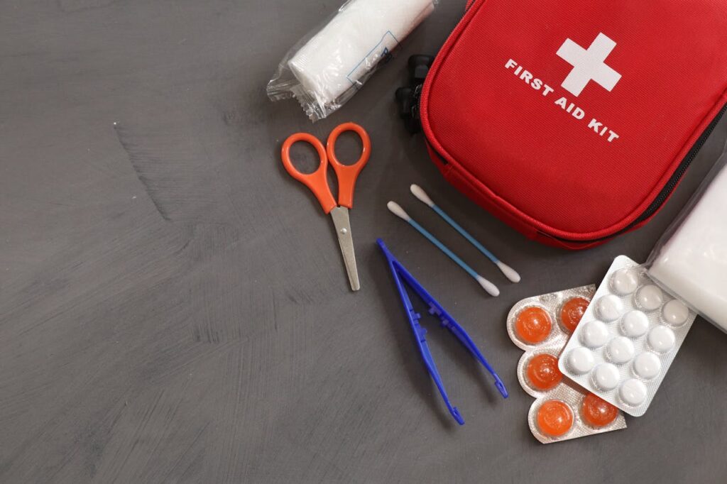 Essential Items to Have in Your Pet's First Aid Kit