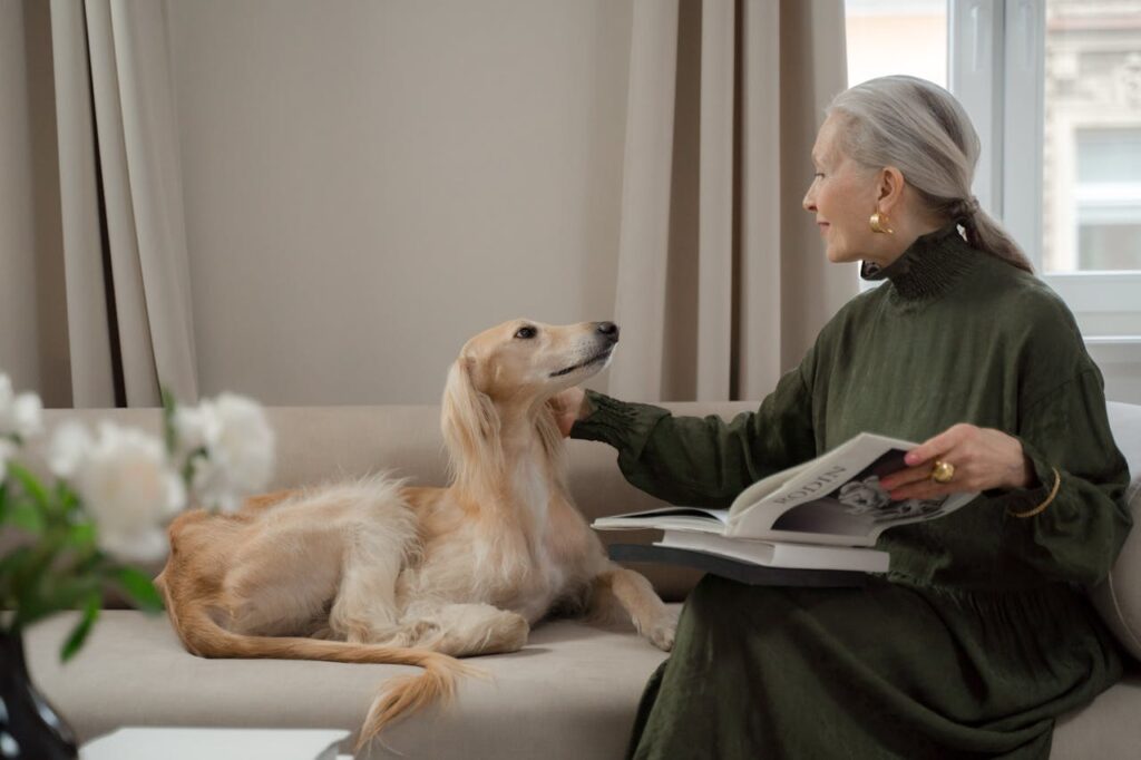saluki dog laying on couch with woman
