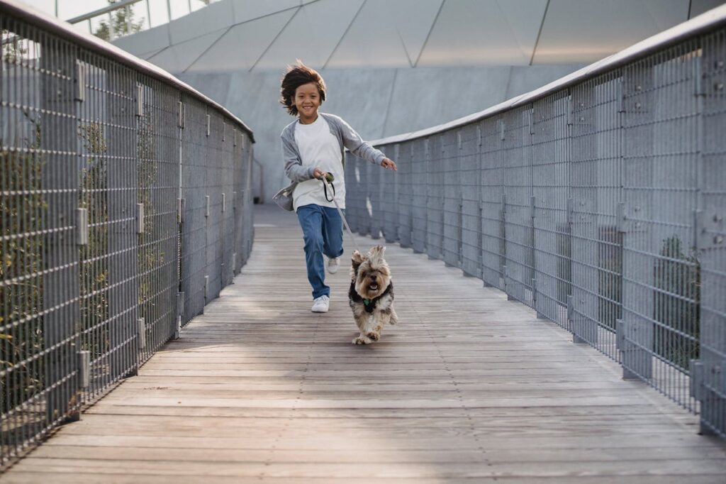 Why It Is Important to Walk Your Dog Every Day