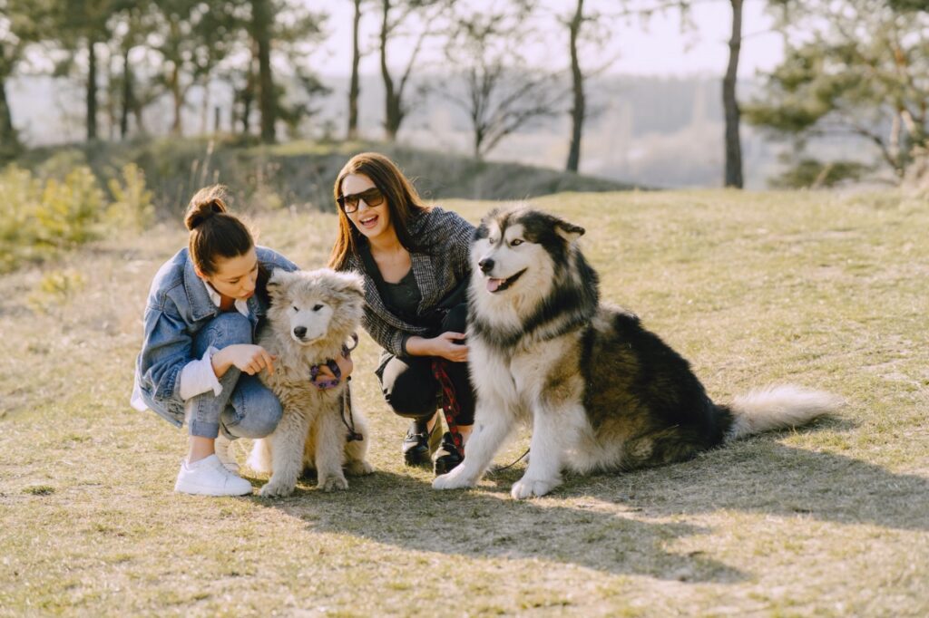 Two woman with dogs