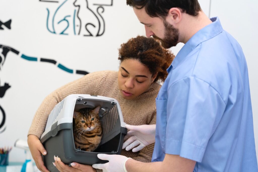 A Bengal cat inside a pet carrier being handed to a veterinarian