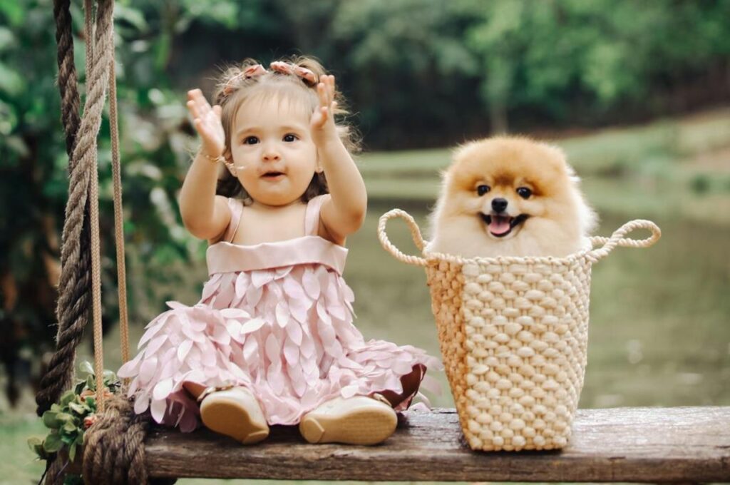Girl in Pink Dress Sitting on Bench Next to Pomeranian Dog in Bag