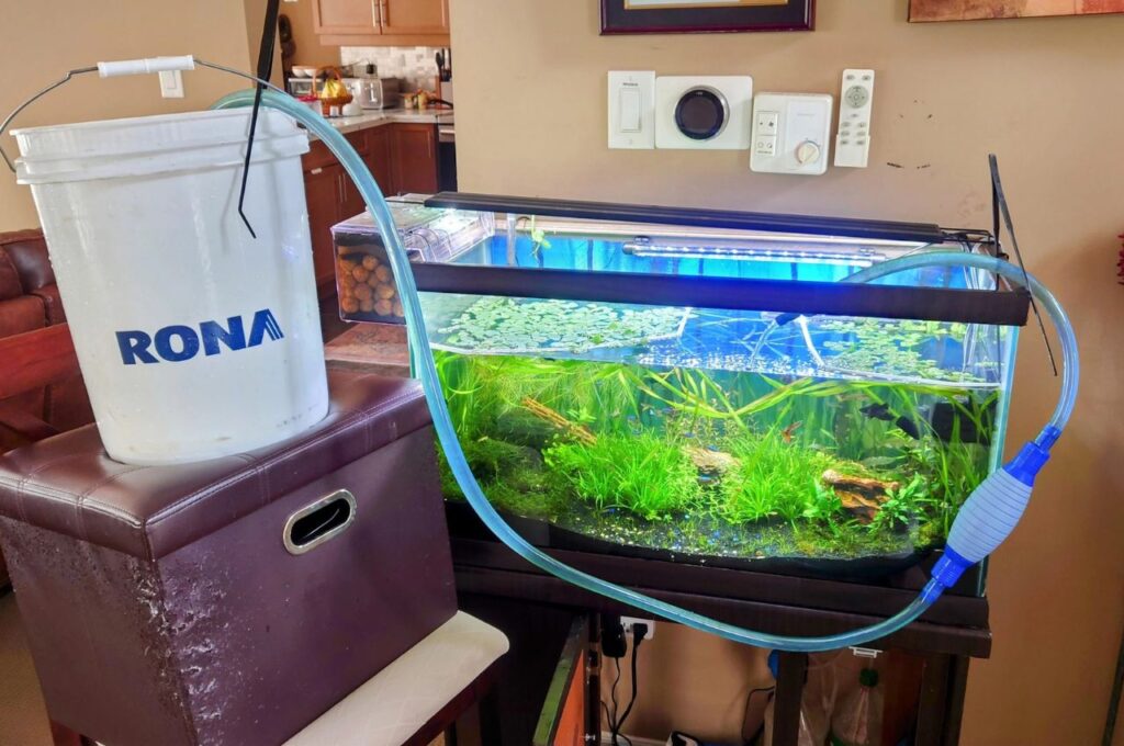 Aquarium Water change
