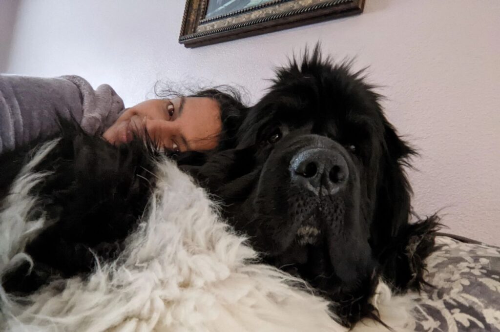 a man cuddling Newfoundland