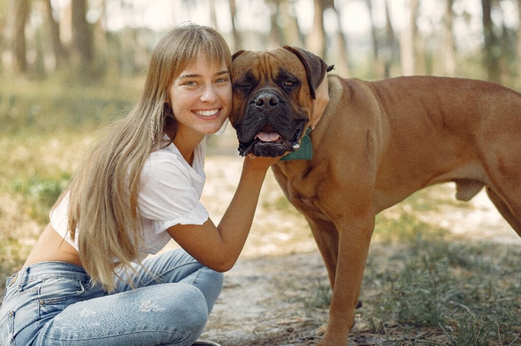 Woman in forest playing with Bullmastiff