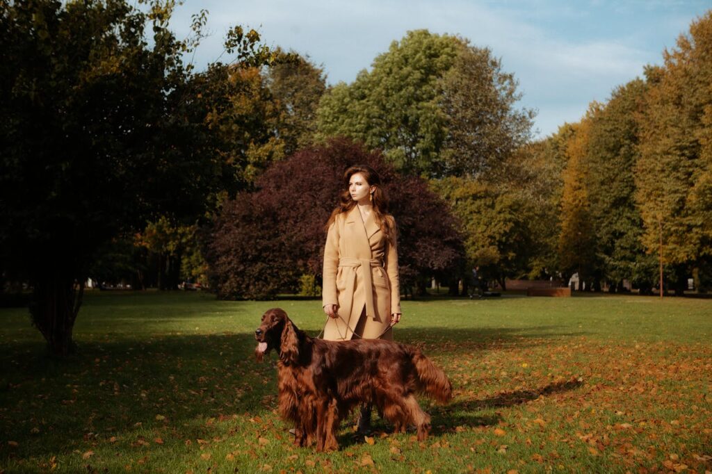 Irish Setter standing outside with woman