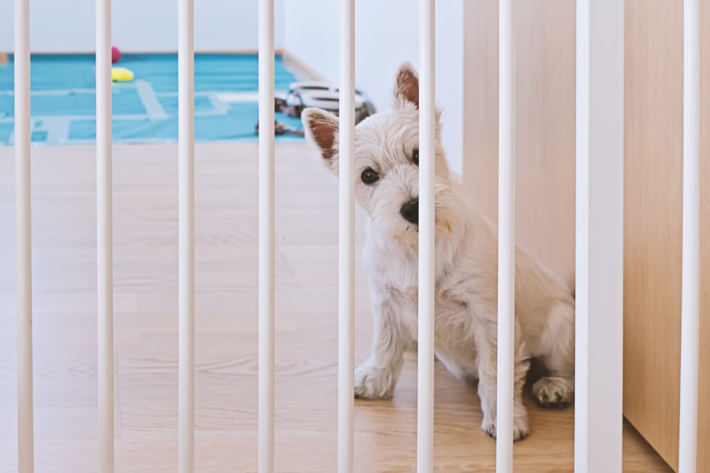 Dog indoor gate