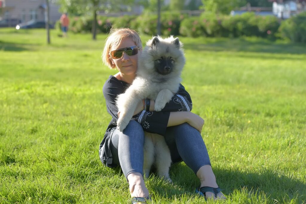KEESHOND