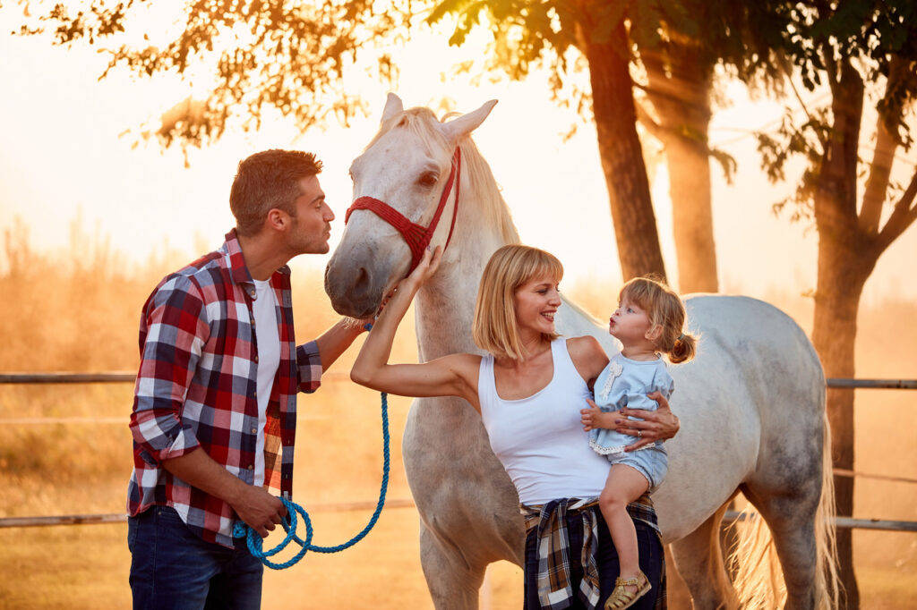Family Horse
