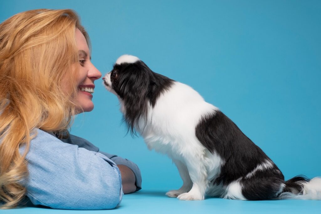 japanese chin
