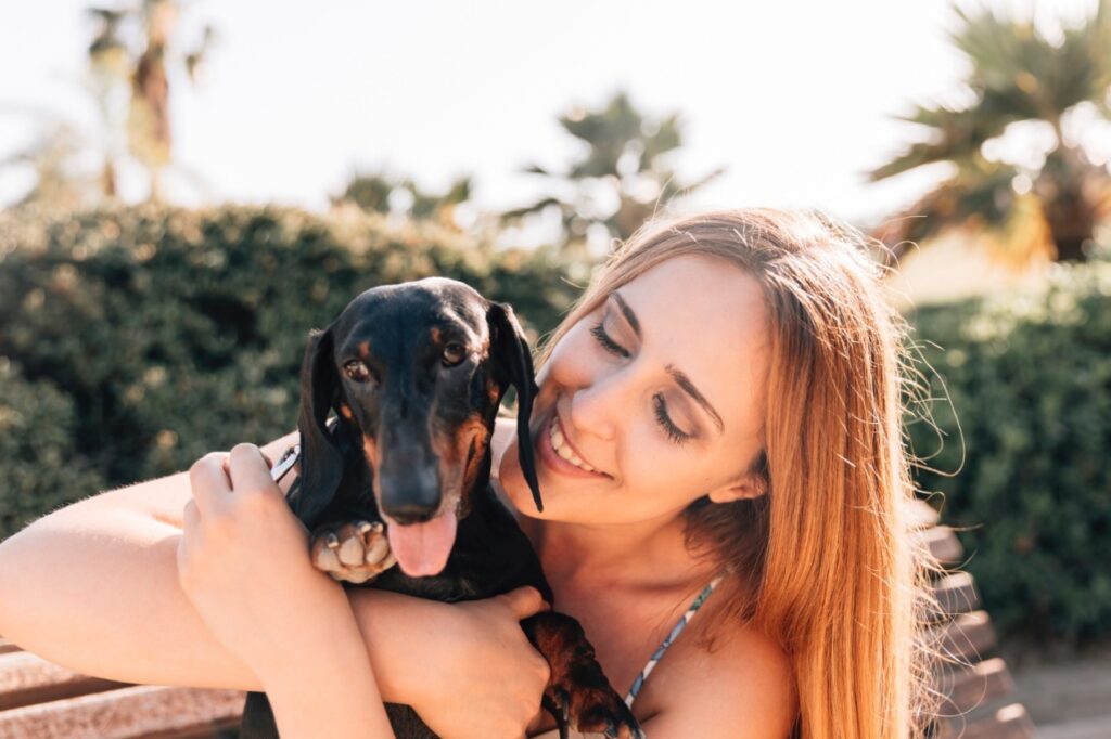 Dachshund with woman