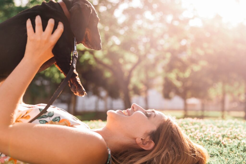 Dachshund With woman