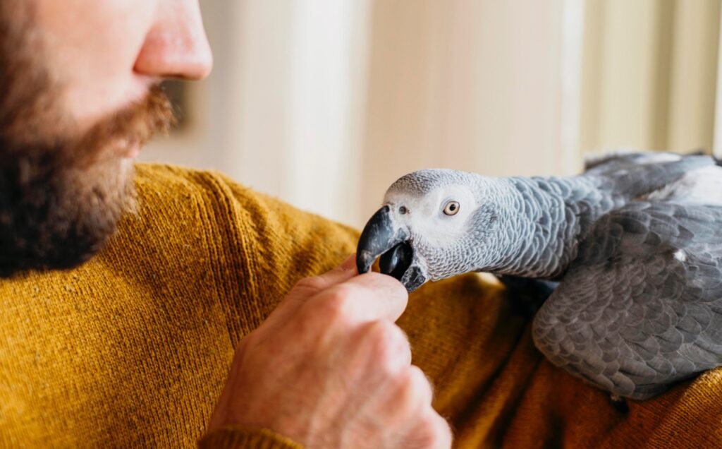 man petting cute bird