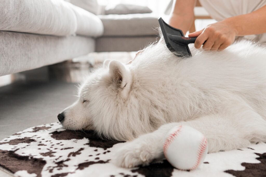 Brushing Techniques Dog