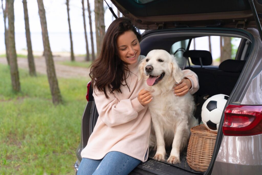 Golden Retriever travel