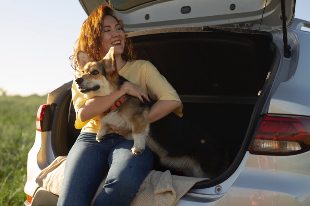 Dog traveling