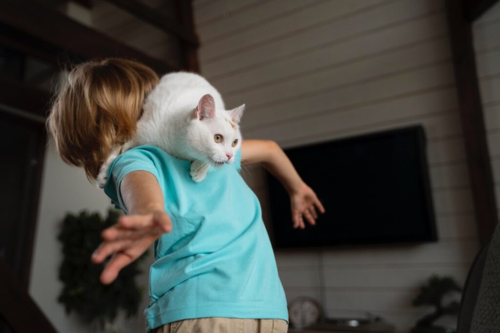 cat playing