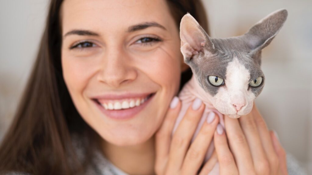 Sphynx cat