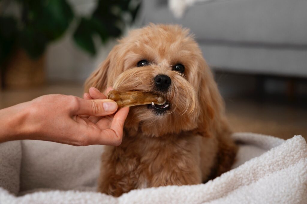 Dog Chew Hard Biscuit