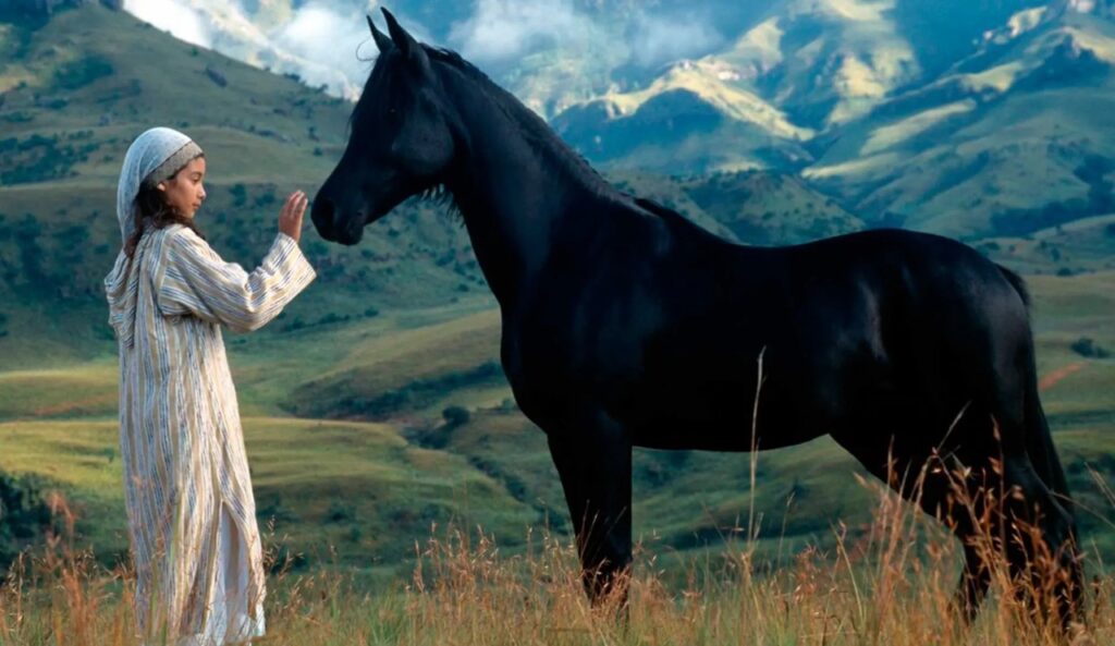 The Black – Arabian Stallion