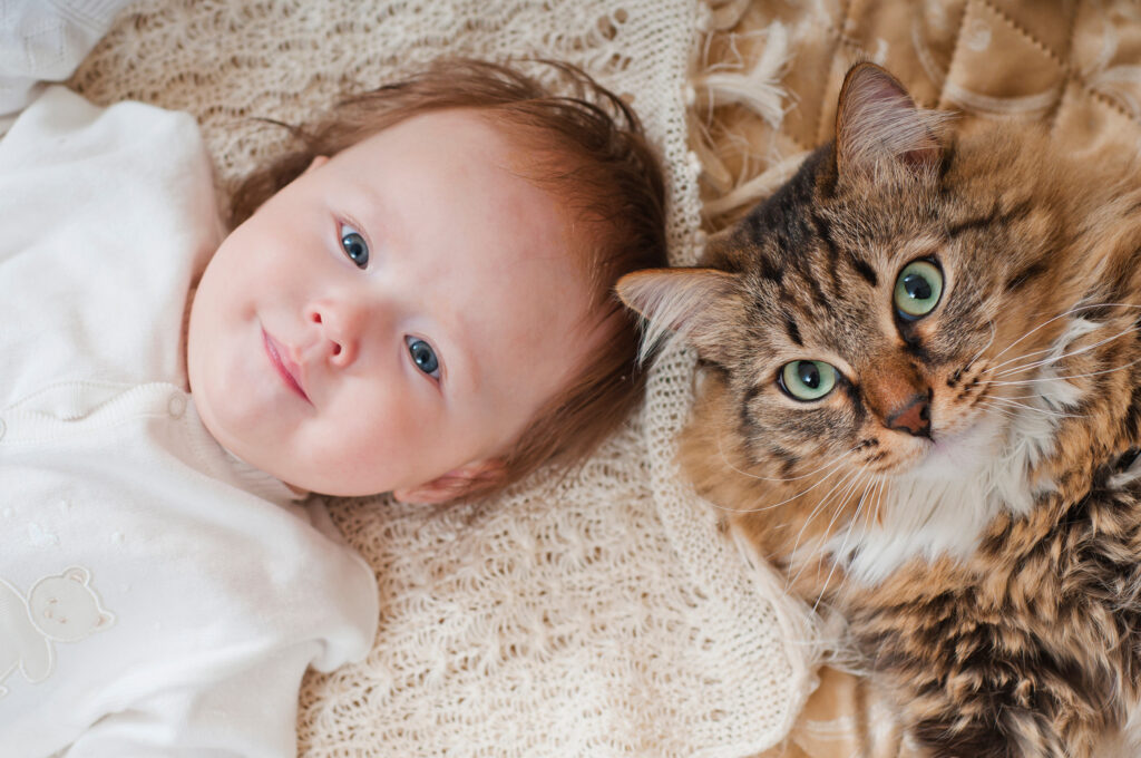 Cat with Baby