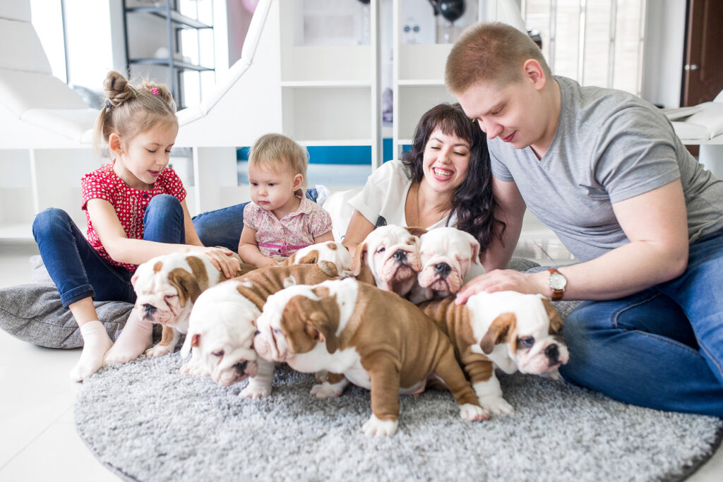 Big Pet Family