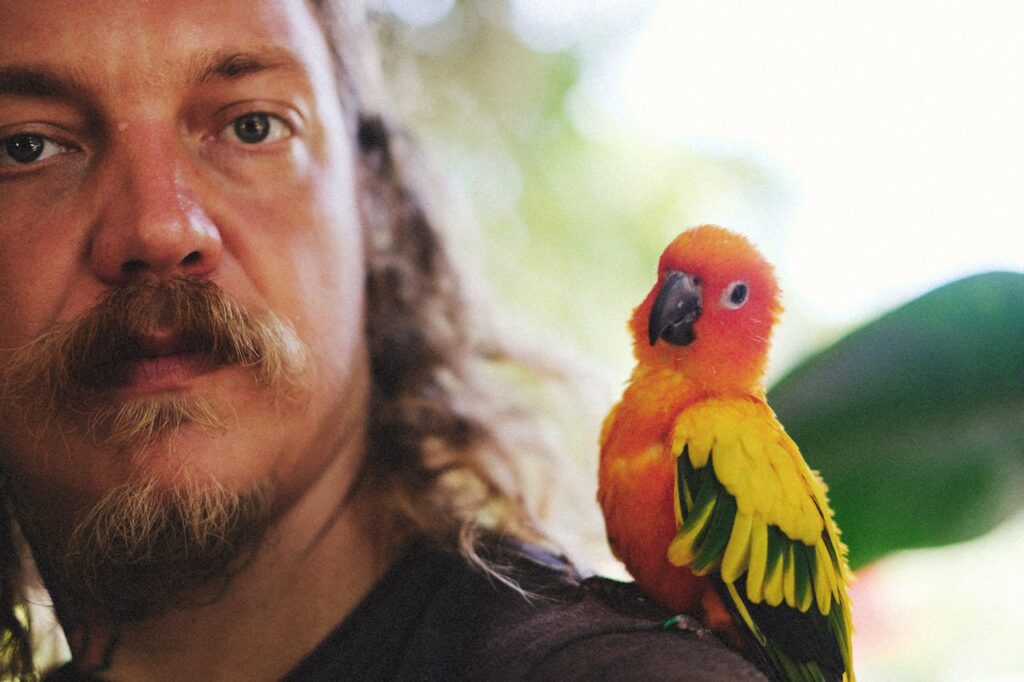 Pet bird on shoulder