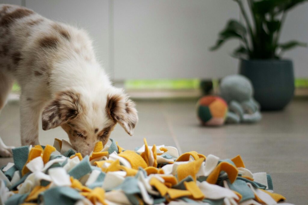 Dog Sniffing