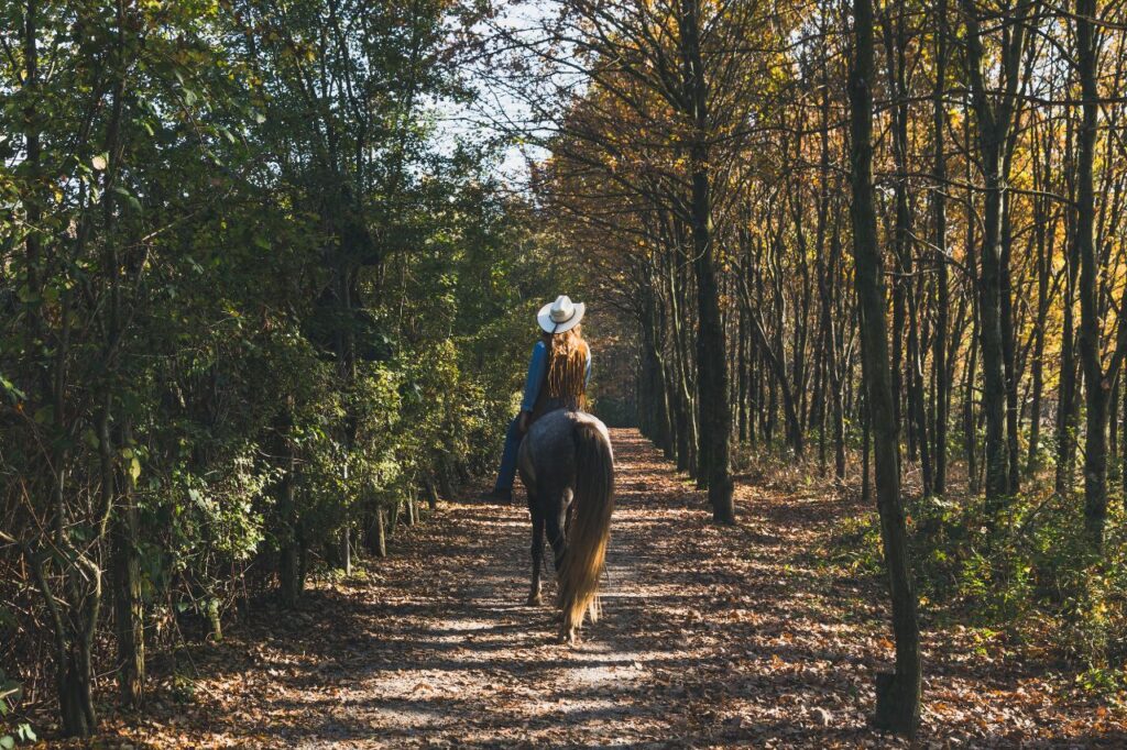 Horse trail riding
