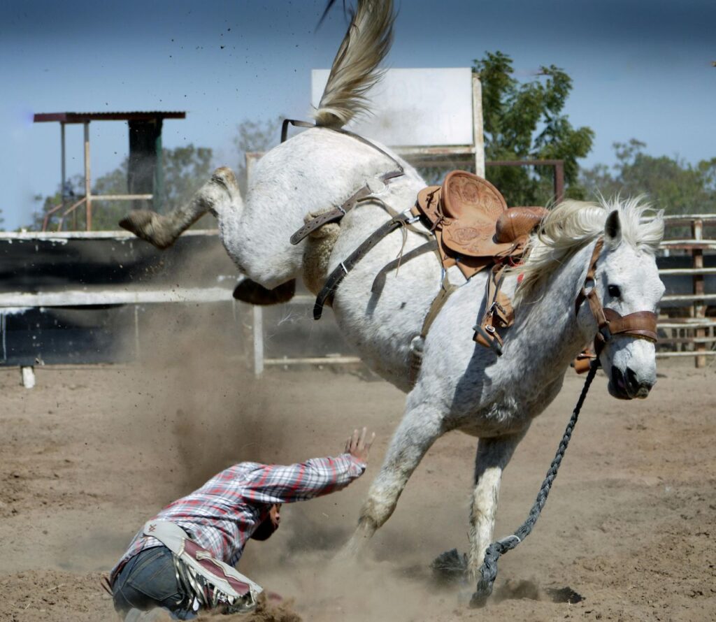 Impatient Horse Trainer
