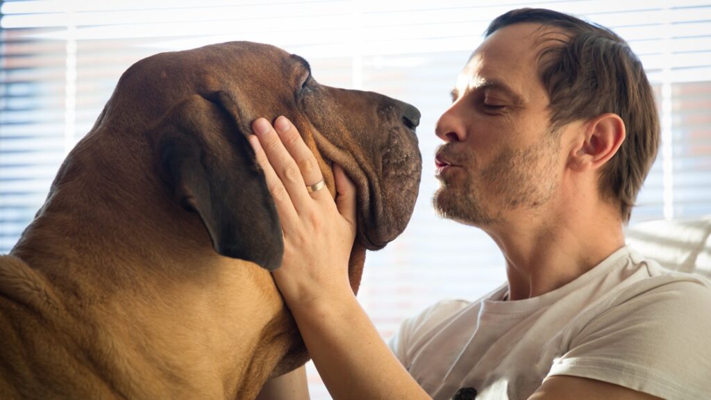 Portrait of man with beautiful big dog