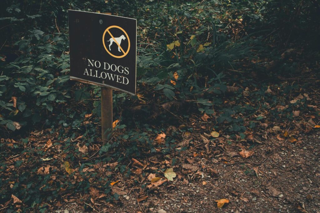No Dogs Allowed Sign