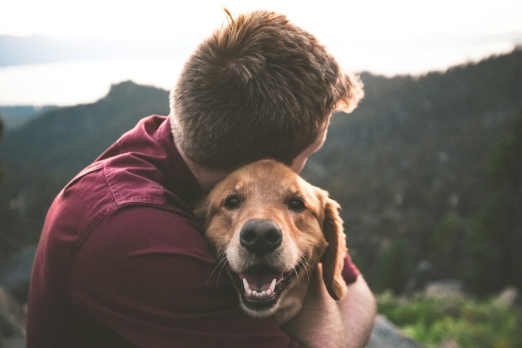 Golden Retriever with man
