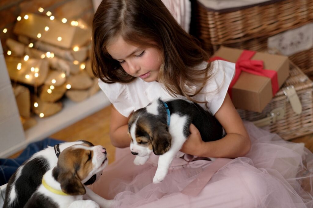 Three puppies