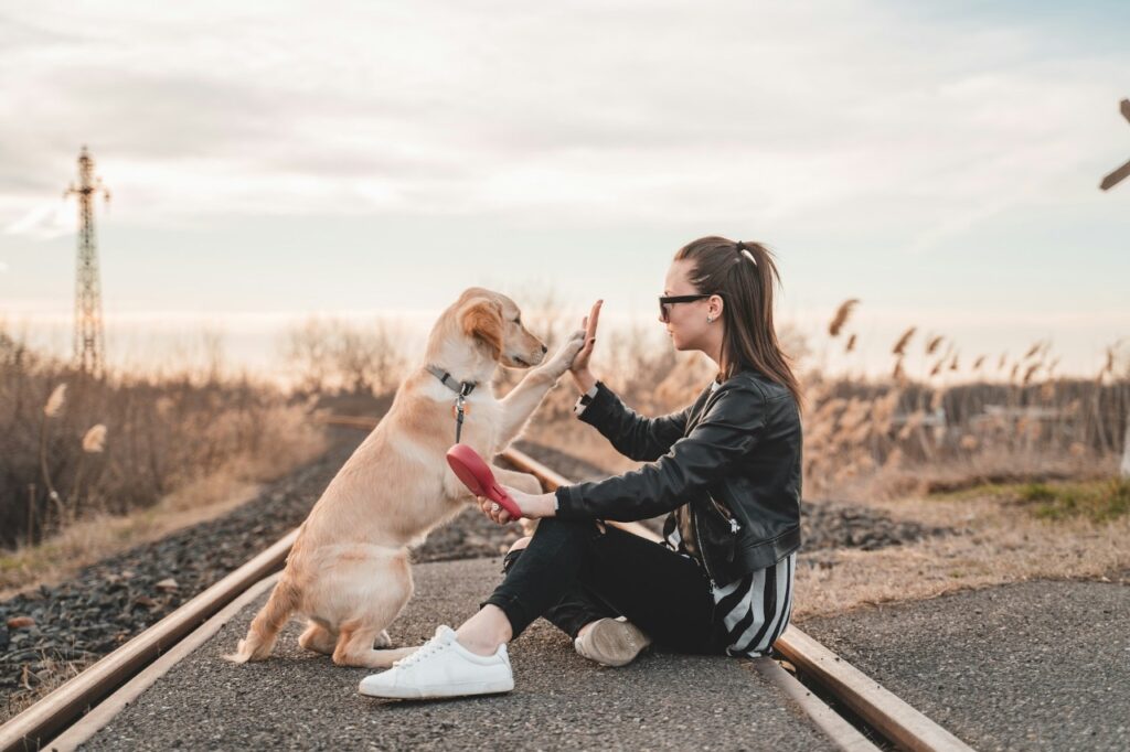 woman giving high five to her dog
