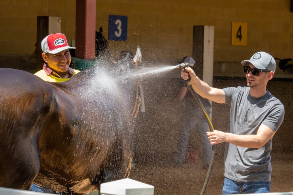 Horse bathing