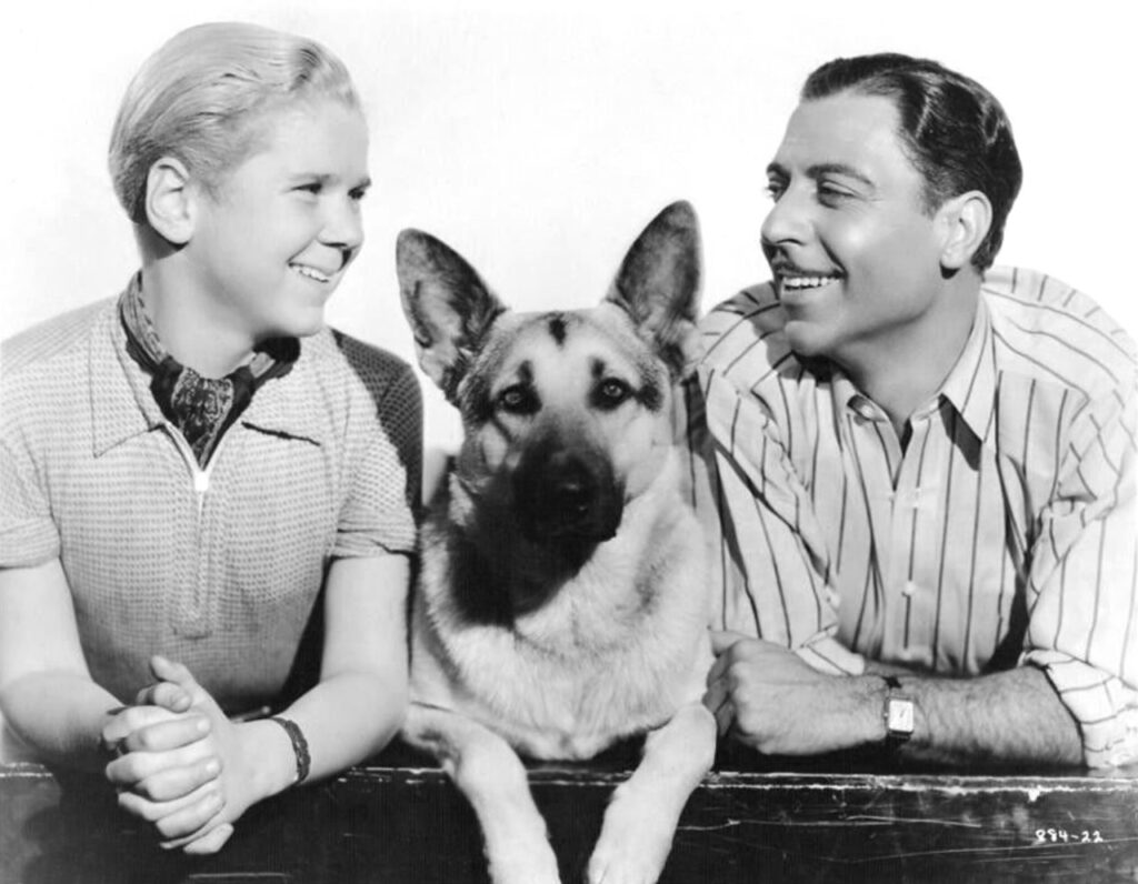 (German Shepherd )Promotional still for the 1936 film Tough Guy