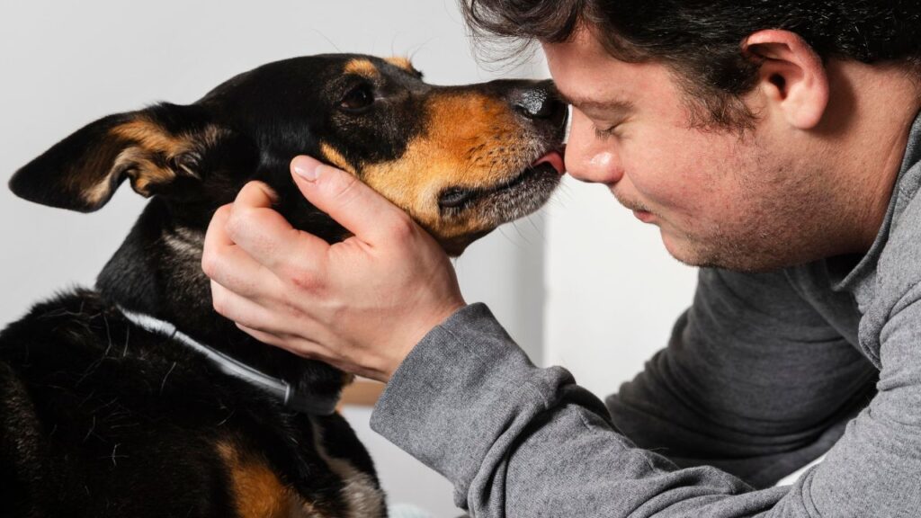 Close up dog licking man on face