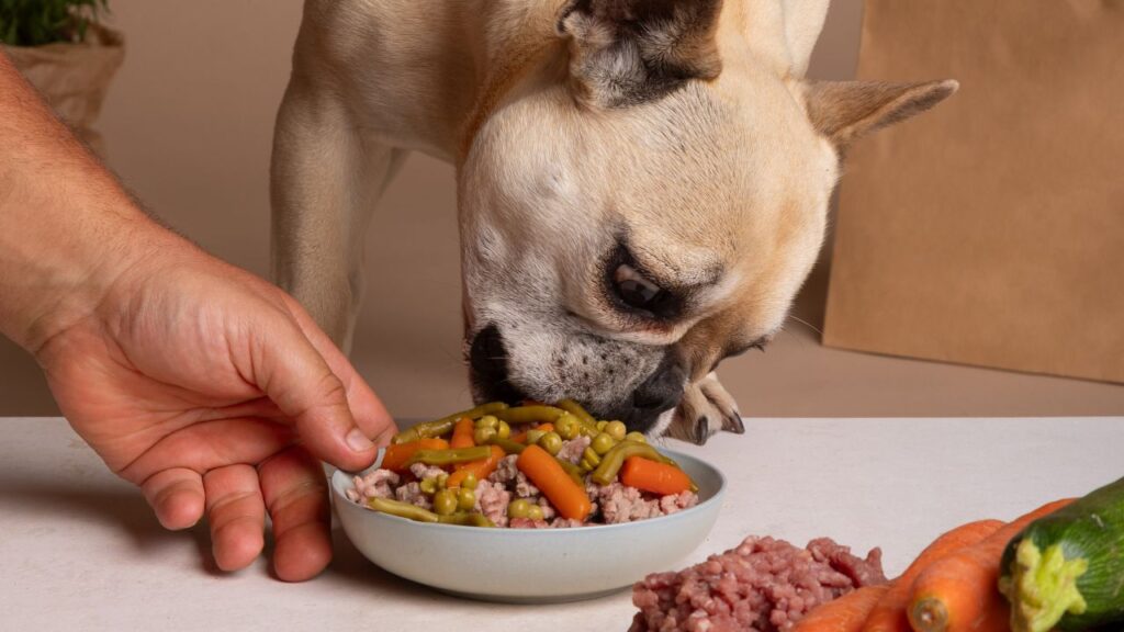 adorable French Bulldog with healthy bowl of food(Diet)