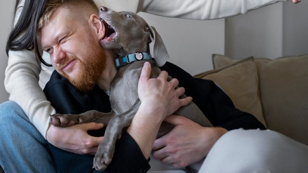 Dog Cuddle